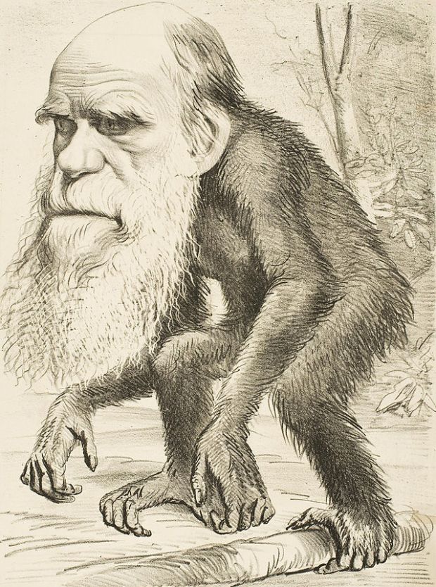 editorial_cartoon_depicting_charles_darwin_as_an_ape_1871
